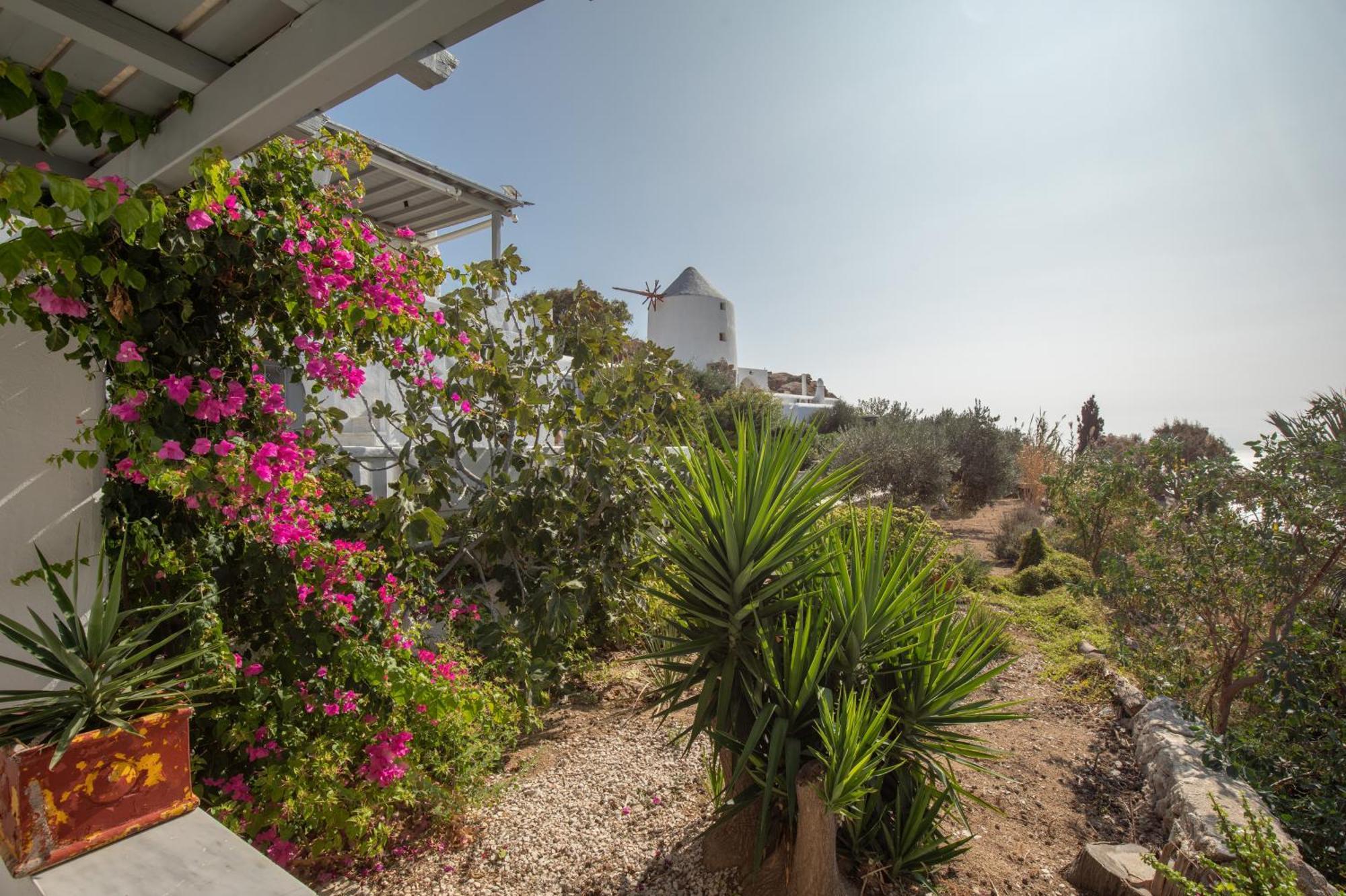 Apostolis Windmill Apartment Psarou  Exterior foto